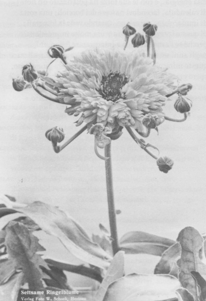 Silvia Vendramel – Neve. Sole. Ti seguo tempohttps://www.exibart.com/repository/media/eventi/2015/12/silvia-vendramel-8211-neve.-sole.-ti-seguo-tempo.jpg