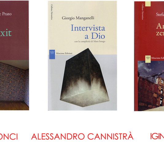 Alessandro Cannistrà / Laura Cionci / Iginio De Luca – Non si giudica un libro dalla copertina