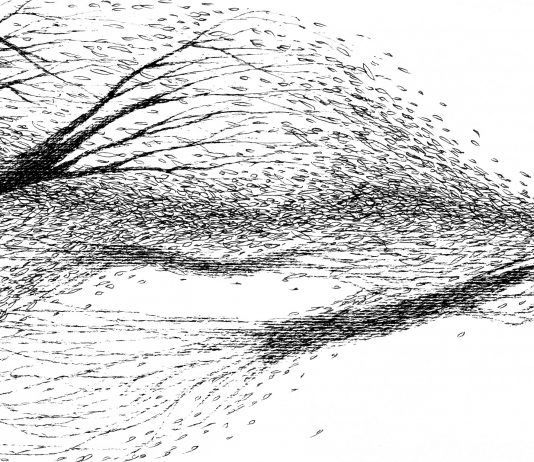 Ambra Guerrieri/ Giulia Berra – Contrappunto