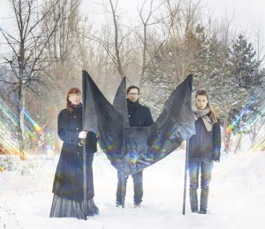 Apparatus 22 – Several laws. The elastic test