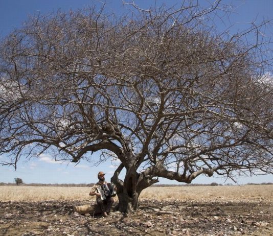 Bari Brasilian Film Fest