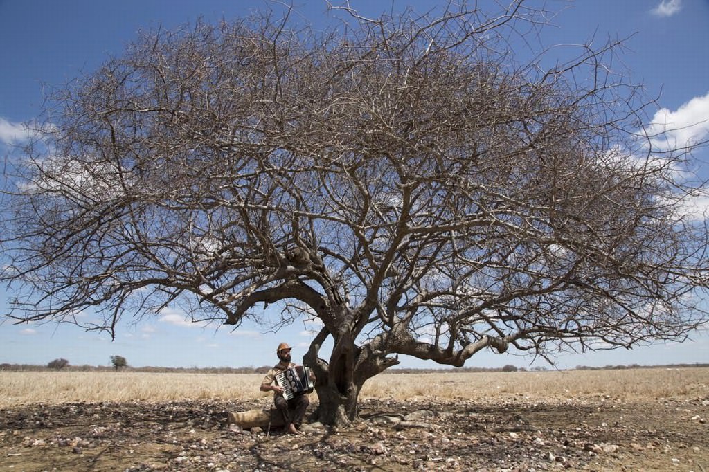 Bari Brasilian Film Festhttps://www.exibart.com/repository/media/eventi/2016/01/bari-brasilian-film-fest.jpg