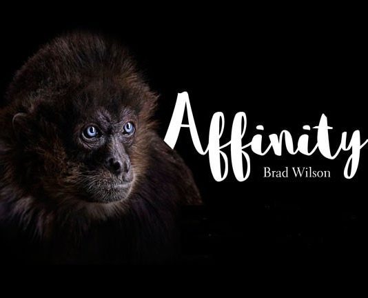 Brad Wilson – Affinity