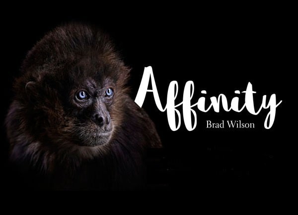 Brad Wilson – Affinityhttps://www.exibart.com/repository/media/eventi/2016/01/brad-wilson-8211-affinity.jpg