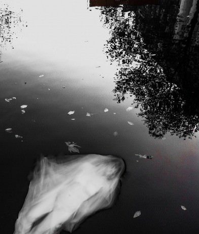 Candida Luciano – Immobile Indifferenza