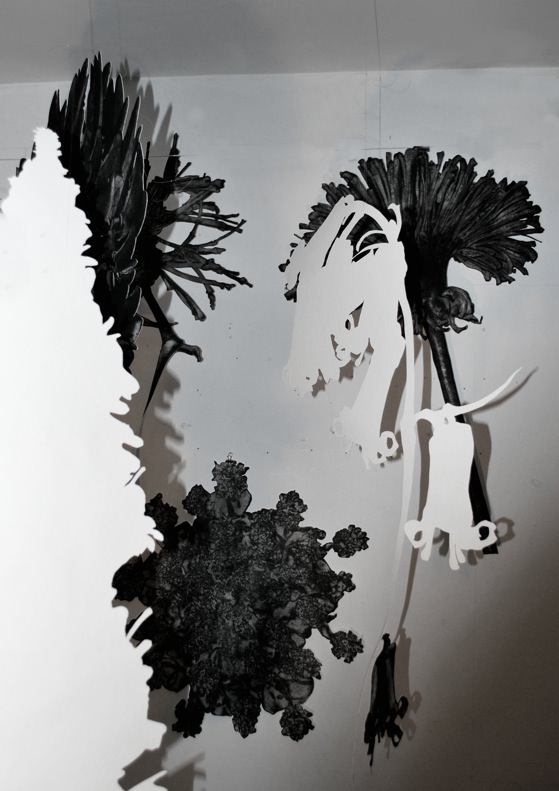 Carol Wyss – In Suspensohttps://www.exibart.com/repository/media/eventi/2016/01/carol-wyss-8211-in-suspenso.jpg