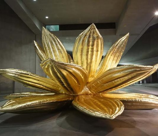Choi Jeong-hwa – Golden Lotus