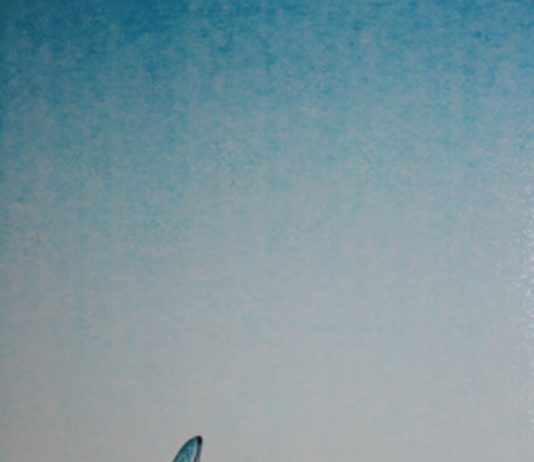 Christian Manuel Zanon – Lotteria Immanuel