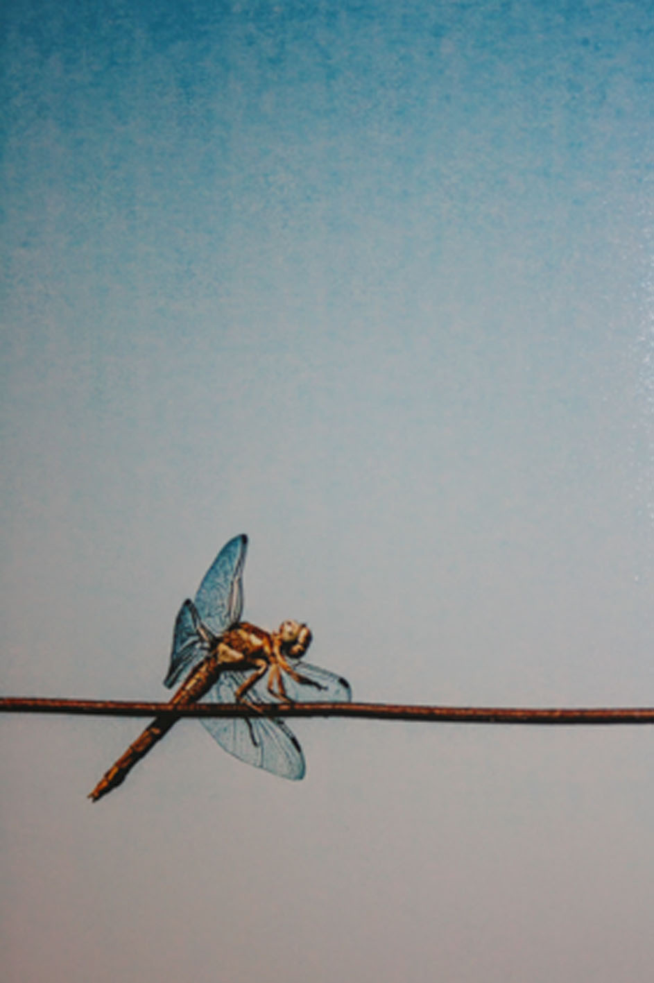 Christian Manuel Zanon – Lotteria Immanuelhttps://www.exibart.com/repository/media/eventi/2016/01/christian-manuel-zanon-8211-lotteria-immanuel.jpg