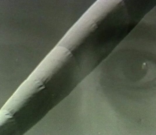 Gianfranco Baruchello / Regina José Galindo