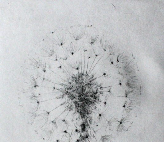 Giulia Cantarutti – Naturalmente