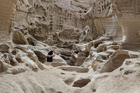 Gohar Dashti – Limbo