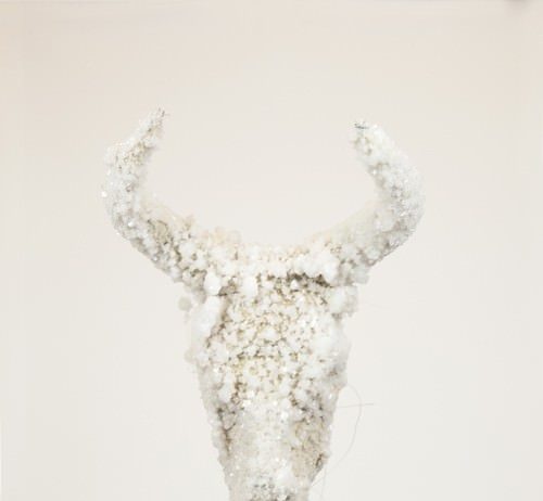 Jean-Pierre Formica – Nouvelle nature Jean-Pierre Formica – Nouvelle nature