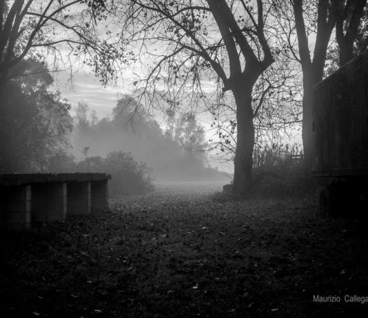 Maurizio Callegarin – Il valore dell’ombra