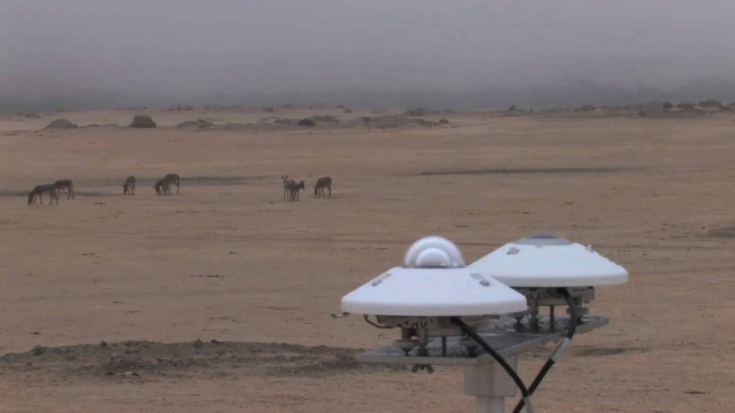 AlbumArte | VideoArtForum #1 – Margherita Morgantinhttps://www.exibart.com/repository/media/eventi/2016/02/albumarte-videoartforum-1-8211-margherita-morgantin-1068x601.jpg