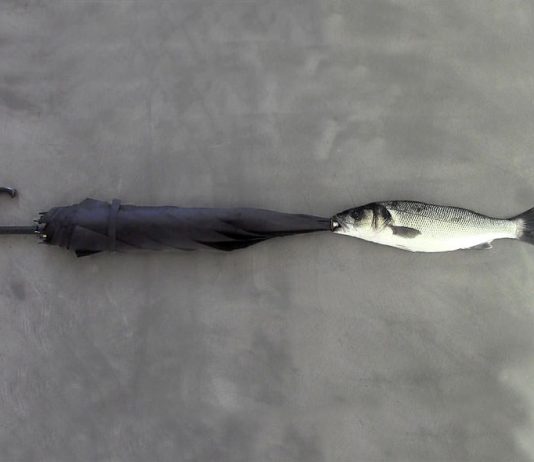 Behnam Ali Farahzad / Marco Bastia – Acqua….filosofia da vedere