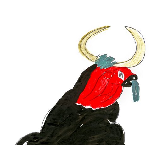 Chiara Terraneo – Tauromachia