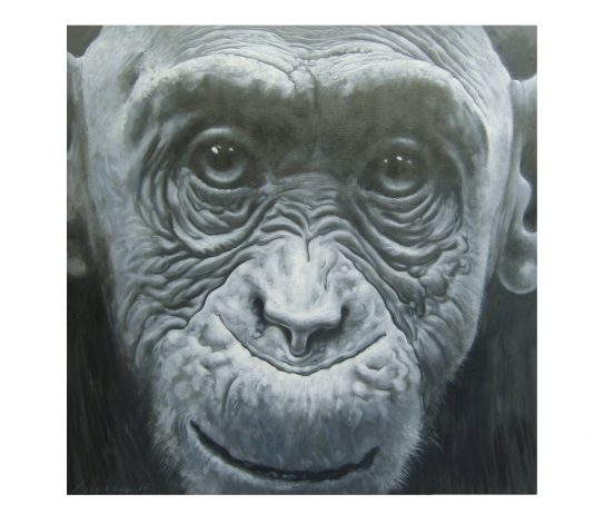 Fotografia, Pittura, Scultura