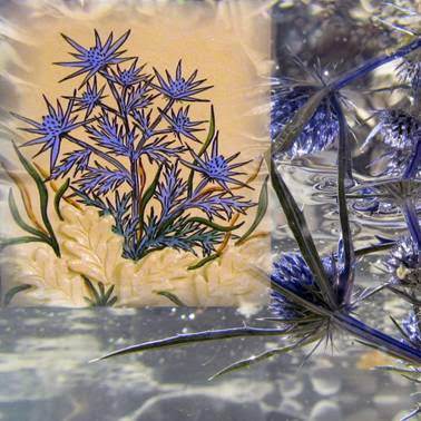 Gabrijela Osbich Pison / Sonia Osbich – Eryngium16