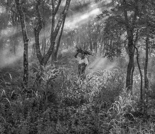 Jakob de Boer – Origin