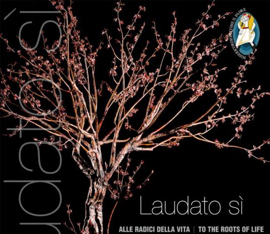 Mastro 7 – Laudato sì