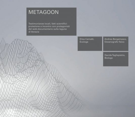 Metagoon