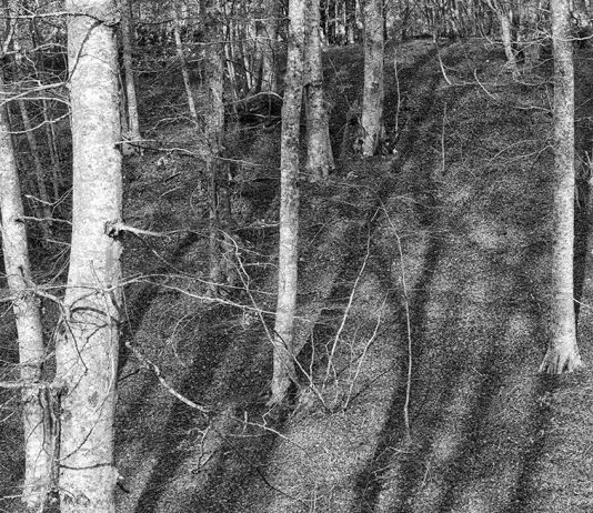 PARTI. Paradigmi di itinerari creativi