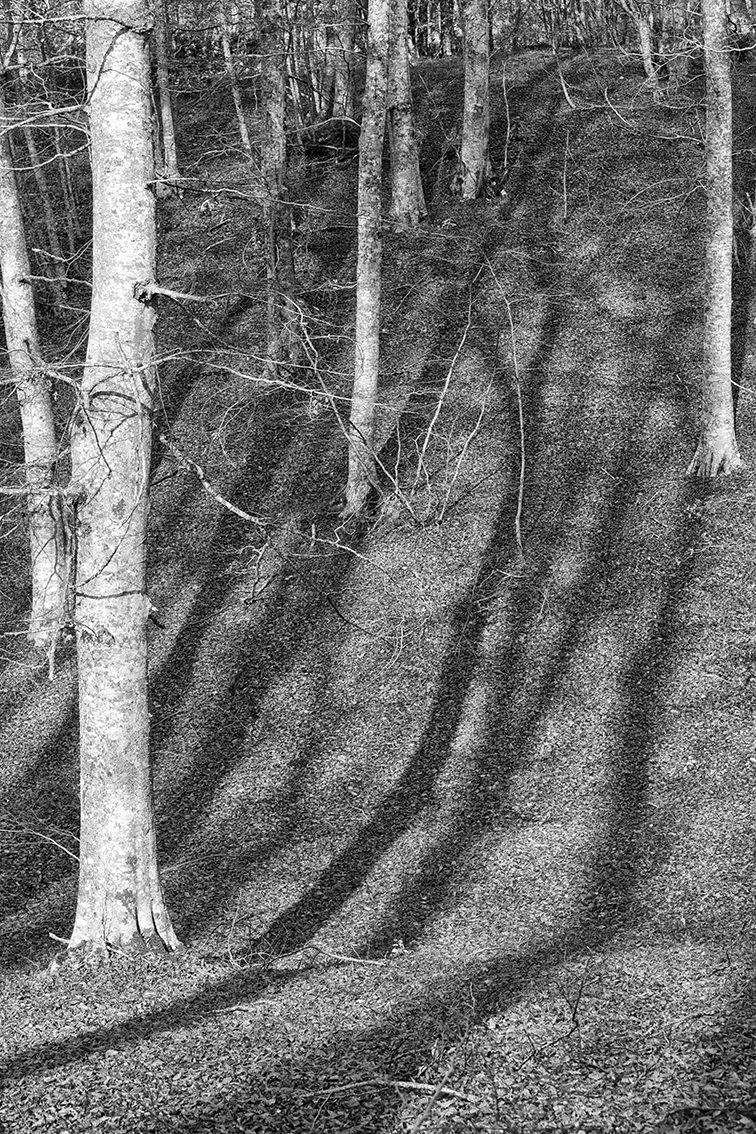 PARTI. Paradigmi di itinerari creativihttps://www.exibart.com/repository/media/eventi/2016/02/parti.-paradigmi-di-itinerari-creativi.jpg