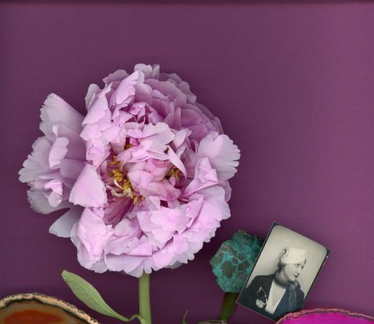 Alfred Drago Rens – Fiori da Meditazione