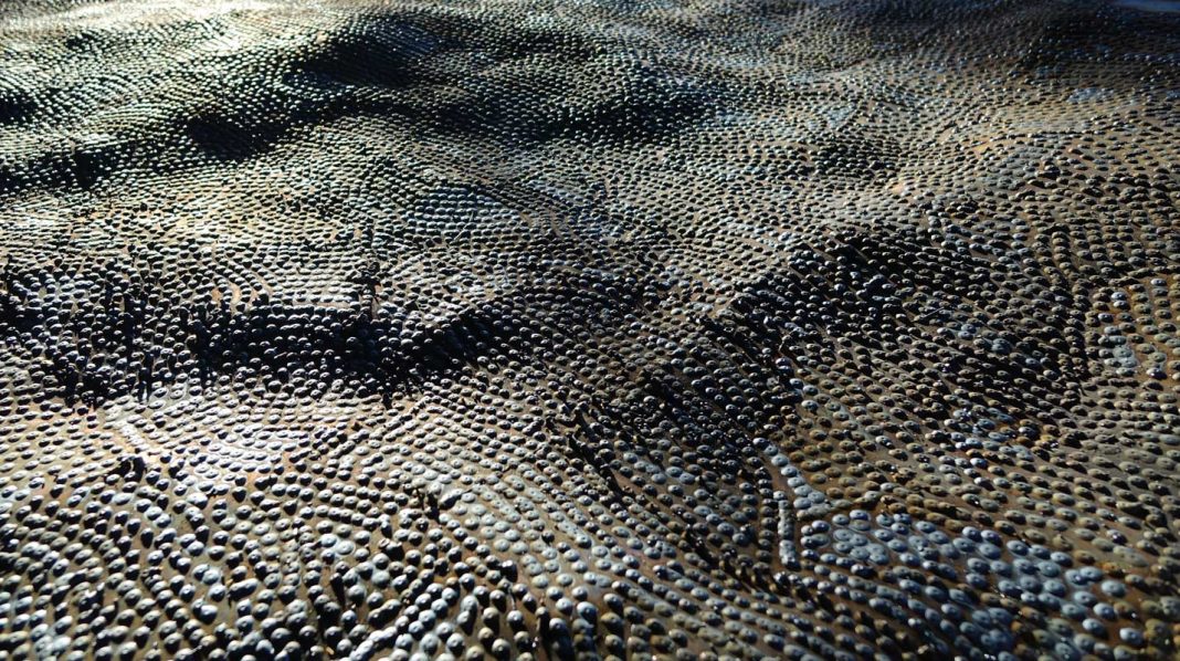 Antoine Zgraggen – 200000https://www.exibart.com/repository/media/eventi/2016/03/antoine-zgraggen-8211-200000-1068x598.jpg