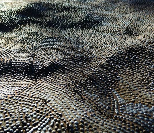 Antoine Zgraggen – 200000