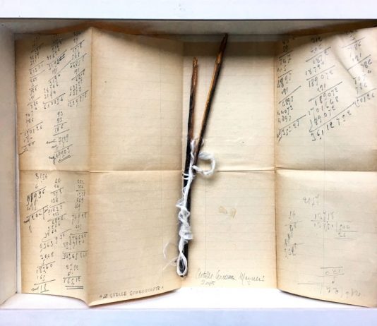 Clotilde Ceriana Mayneri – Scritture arboree