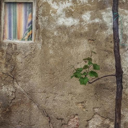 Eliana Bozzi – Sottotitoli a seguirehttps://www.exibart.com/repository/media/eventi/2016/03/eliana-bozzi-8211-sottotitoli-a-seguire.jpg