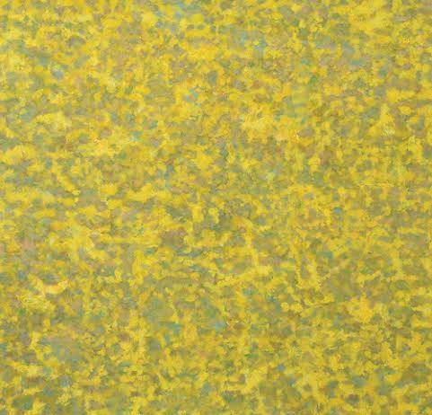 Franco Sarnari – A  Monet e Pollock