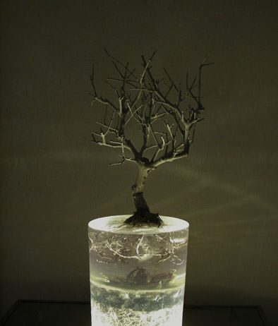 Giulia Manfredi – Arcana Giulia Manfredi – Arcana