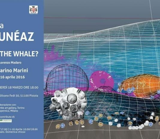 Giuliana Cunéaz – Where is the whale?