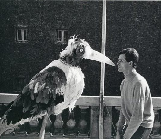 Jacques Lejeune – Oiseaux et de l’eau Jacques Lejeune – Oiseaux et de l’eau