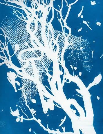 Jeannie Abert – The poetical illusion of some natural anomalies