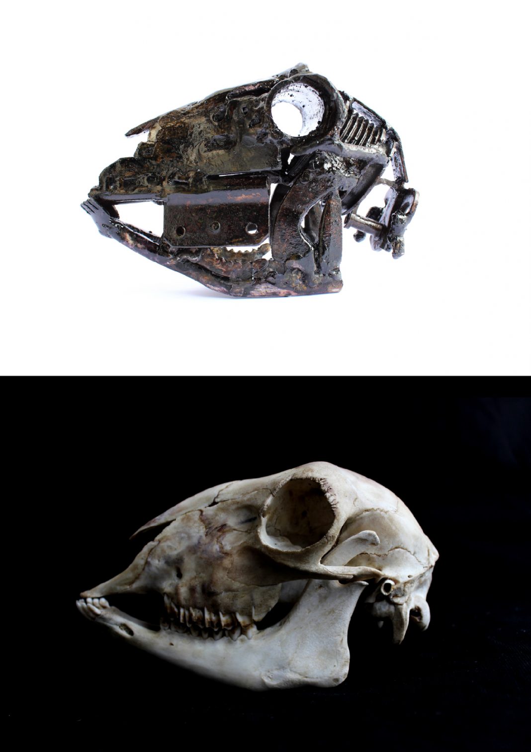 Mad Gianni Colangelo – Wunderkammerhttps://www.exibart.com/repository/media/eventi/2016/03/mad-gianni-colangelo-8211-wunderkammer-1068x1511.jpg