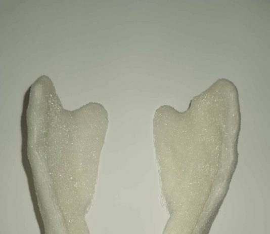 Marcello Gobbi – Wings Marcello Gobbi – Wings