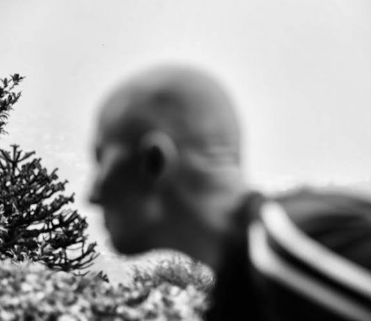 Sara Munari – Sonia, una parrucca bellissima