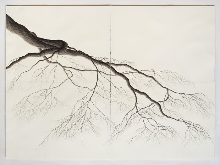 Tindar – Aletheiahttps://www.exibart.com/repository/media/eventi/2016/03/tindar-8211-aletheia.jpg