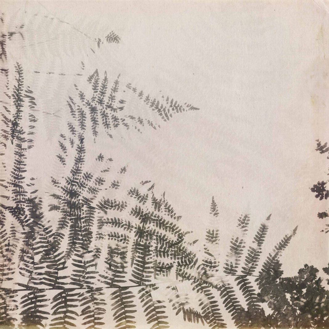 Alessandra Calò – Reliquiae Herbariumhttps://www.exibart.com/repository/media/eventi/2016/04/alessandra-calò-8211-reliquiae-herbarium-1068x1068.jpg