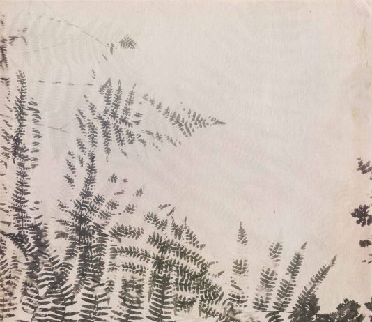 Alessandra Calò – Reliquiae Herbarium Alessandra Calò – Reliquiae Herbarium