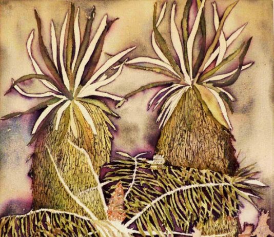 Cristiano Focacci Menchini – The Wind from Nowhere Cristiano Focacci Menchini – The Wind from Nowhere