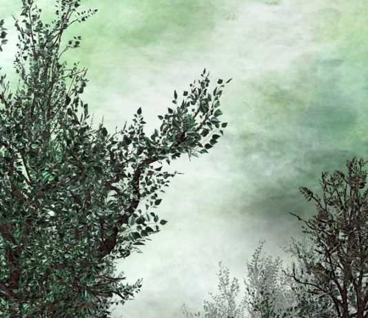 Filippo Armellin – The Blank Interior