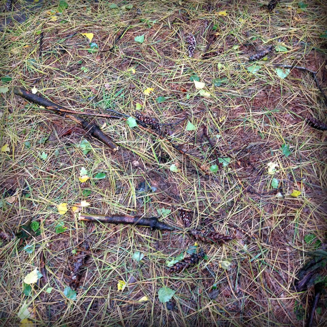 Into the Woodshttps://www.exibart.com/repository/media/eventi/2016/04/into-the-woods-1068x1068.jpg