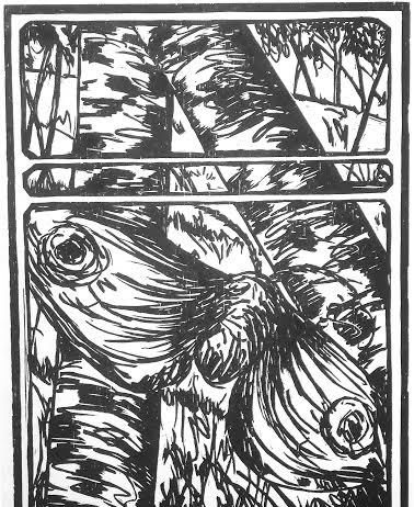 La lima che sottile incide. La letteratura del ‘900 nell’opera xilografica di Schialvino & Verna