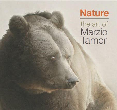 Nature, the art of Marzio Tamer
