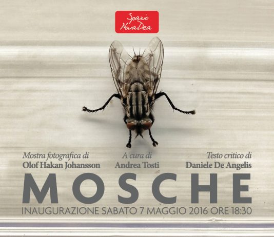 Olof Hakan Johansson – Mosche